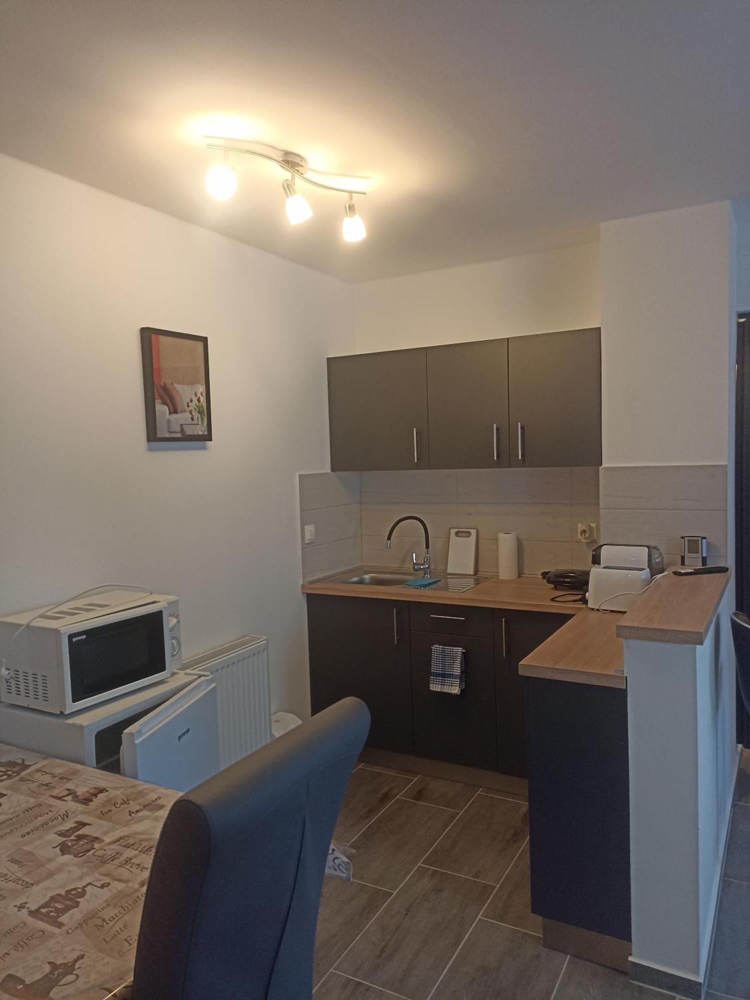 Nyirfa Apartmanhaz 佐洛卡罗斯 外观 照片